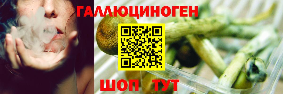 Галлюциногенные грибы мицелий  Вход с VPN  Галлюциногенные грибы ЛСД  Клин 